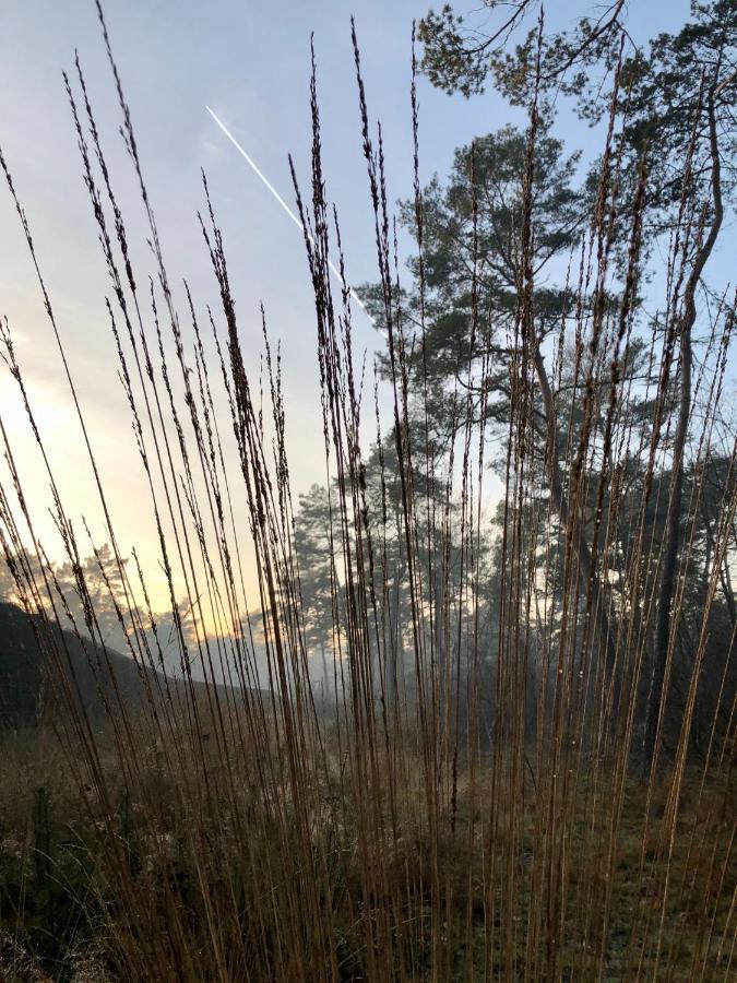 Het Natuurhuisje Op De Veluwe Nunspeet Esterno foto