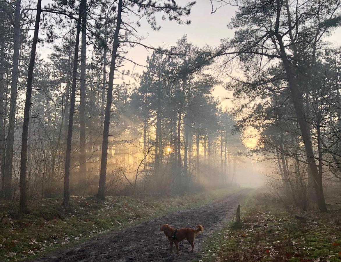 Het Natuurhuisje Op De Veluwe Nunspeet Esterno foto