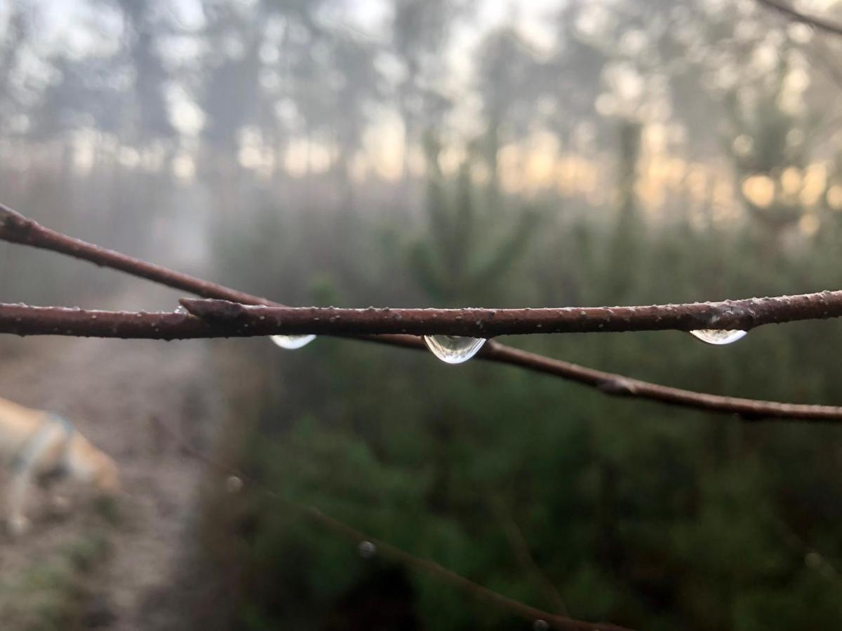 Het Natuurhuisje Op De Veluwe Nunspeet Esterno foto