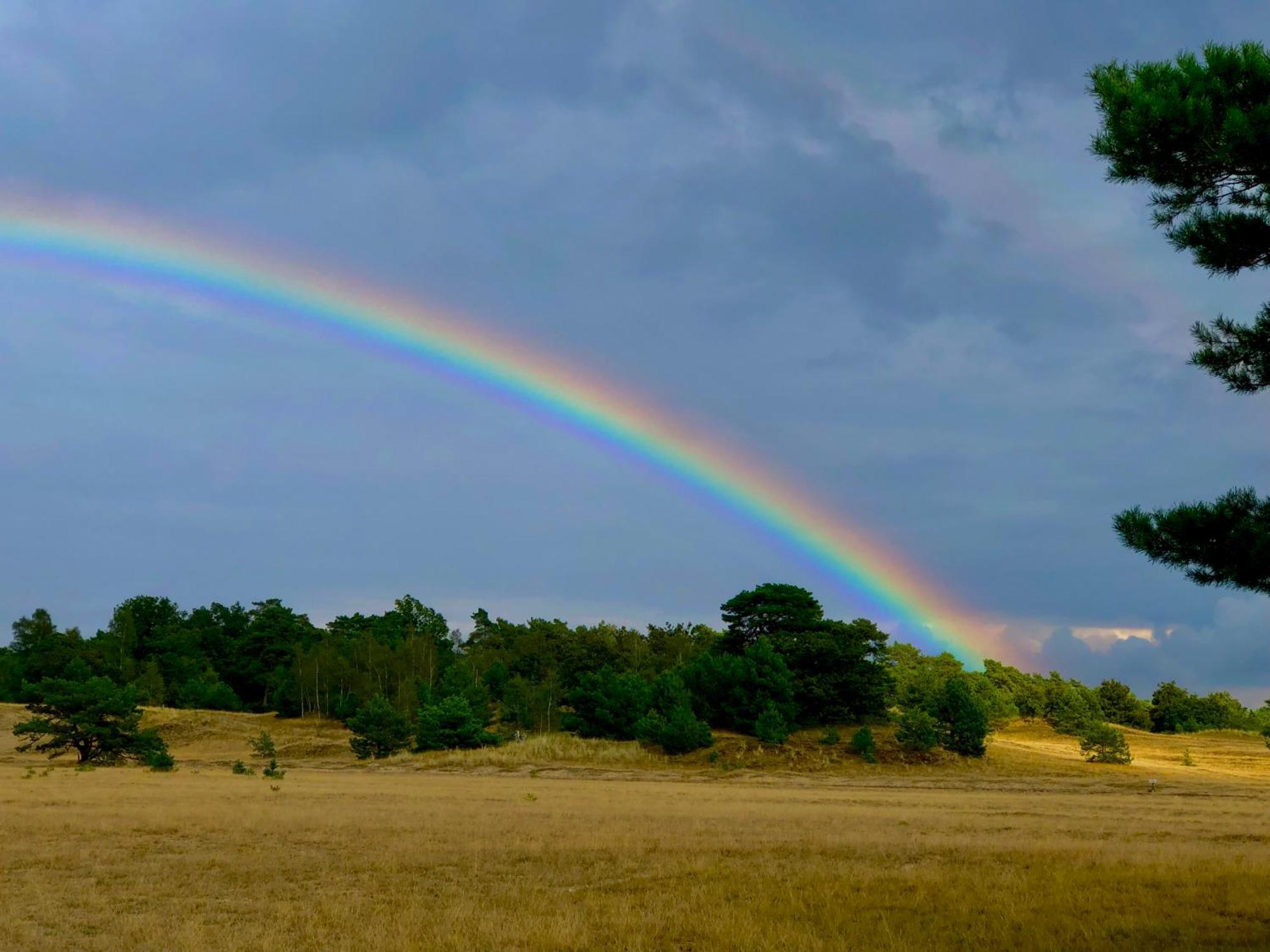 Het Natuurhuisje Op De Veluwe Nunspeet Esterno foto
