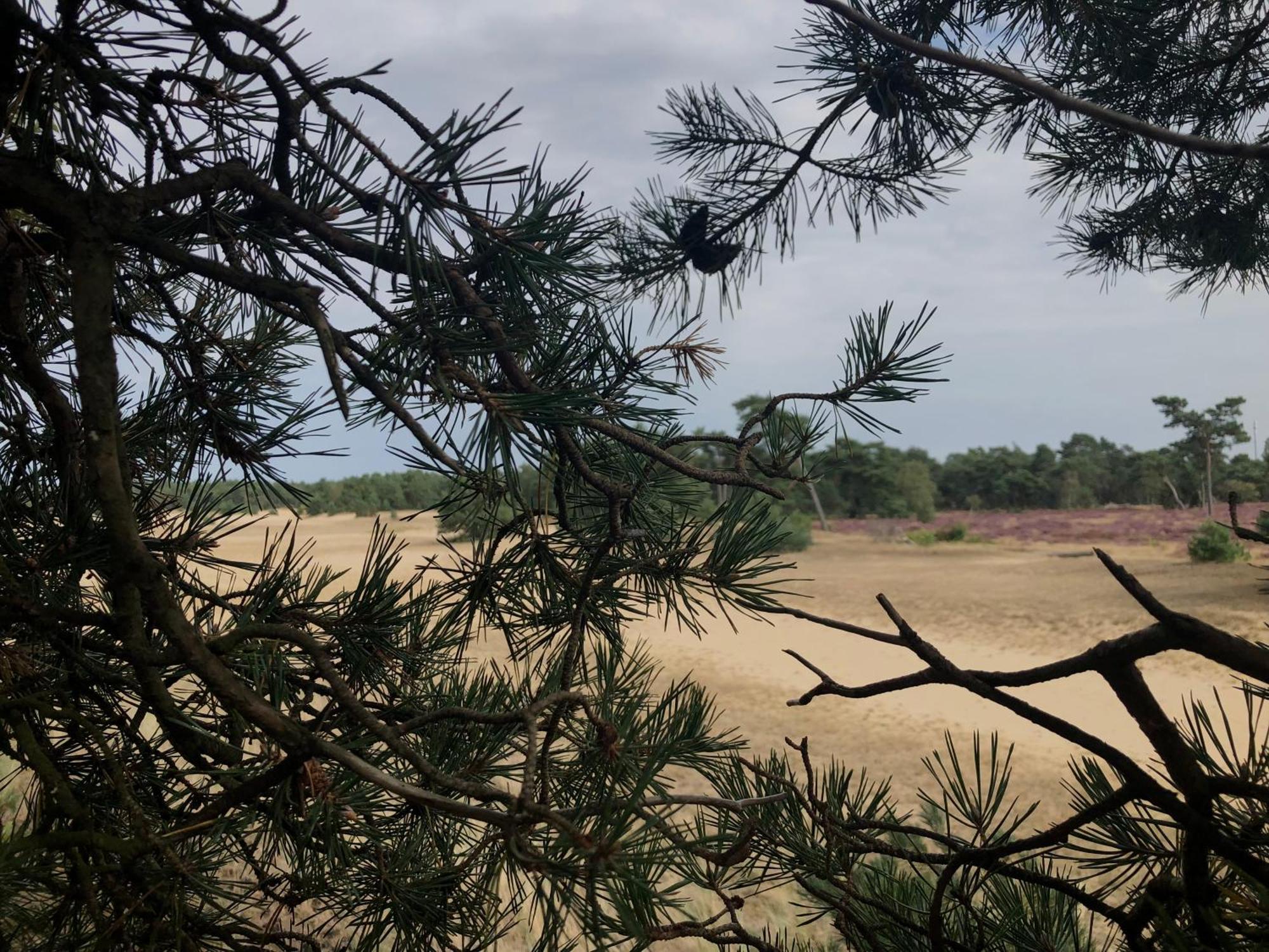 Het Natuurhuisje Op De Veluwe Nunspeet Esterno foto