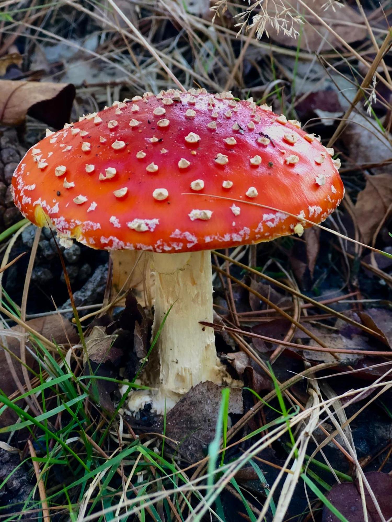 Het Natuurhuisje Op De Veluwe Nunspeet Esterno foto