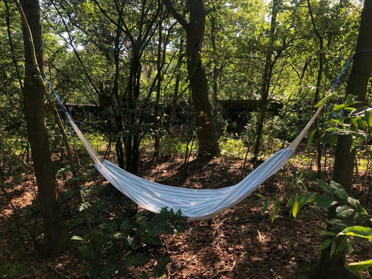 Het Natuurhuisje Op De Veluwe Nunspeet Esterno foto